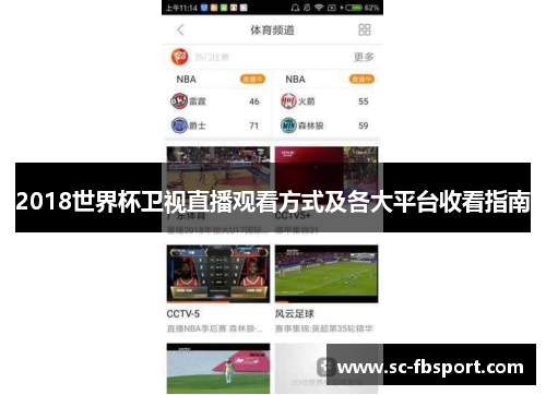 2018世界杯卫视直播观看方式及各大平台收看指南 2018世界杯卫视直播观看方式及各大平台收看指南
