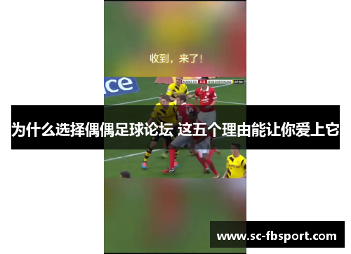 为什么选择偶偶足球论坛 这五个理由能让你爱上它 为什么选择偶偶足球论坛 这五个理由能让你爱上它