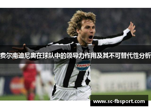 费尔南迪尼奥在球队中的领导力作用及其不可替代性分析