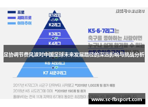 足协调节费风波对中国足球未来发展路径的深远影响与挑战分析 足协调节费风波对中国足球未来发展路径的深远影响与挑战分析