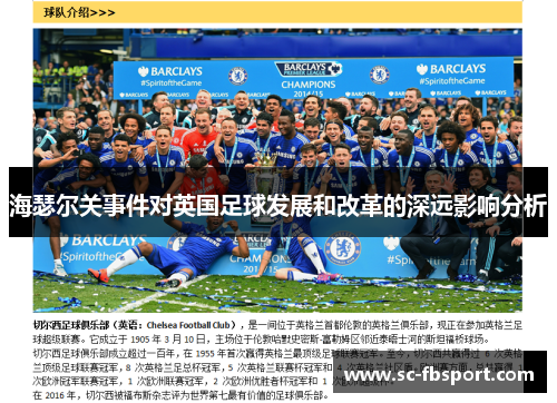 海瑟尔关事件对英国足球发展和改革的深远影响分析 海瑟尔关事件对英国足球发展和改革的深远影响分析