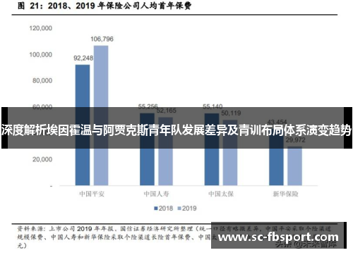 深度解析埃因霍温与阿贾克斯青年队发展差异及青训布局体系演变趋势 深度解析埃因霍温与阿贾克斯青年队发展差异及青训布局体系演变趋势